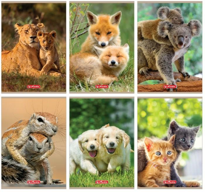 Zeszyt A5/32k 2-linia ANIMALS HERLITZ podwójna /brulion